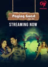 Paying Guest Makhanapp Hot Webseries