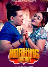 Working Woman Feneo Uncut Web Series