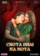 Chota Bhai Ka Mota 2 Uncut Web Series